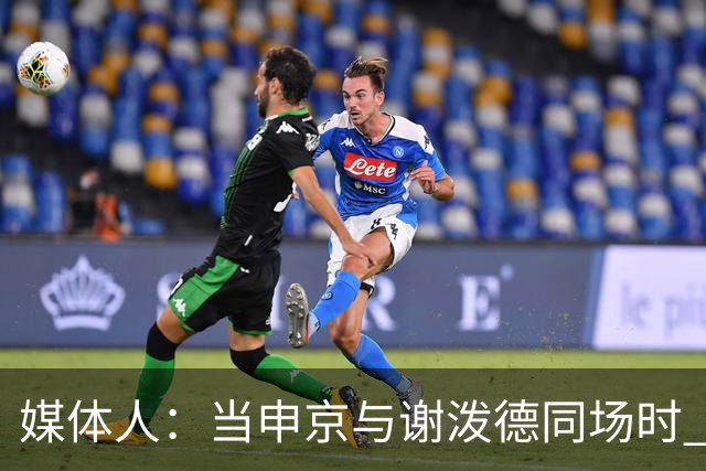 媒体人:当申京与谢泼德同场时 火箭的挡拆防守会被对手无情摧毁